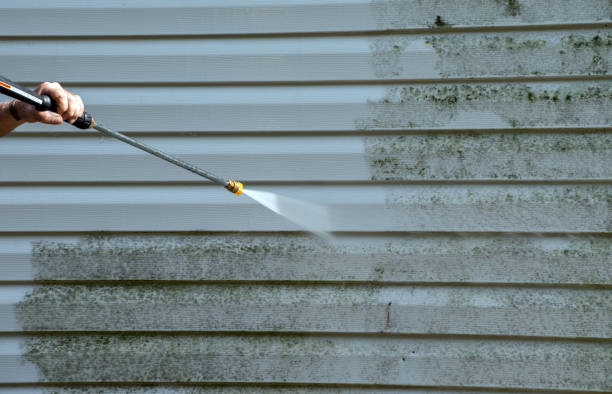 Best Driveway Pressure Washing  in Coplay, PA
